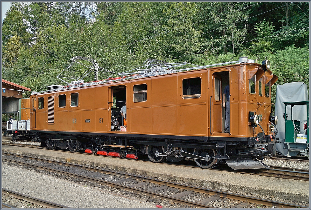 Doch es blieb nicht beim kleinen Blick, sondern ich machte grosse Augen, als ich die prächtige Bernina Bahn Ge 4/4 81 (bis 1929 Ge 6/6 81) in voller Schönheit sah!
Caulin, den 19. August 2018