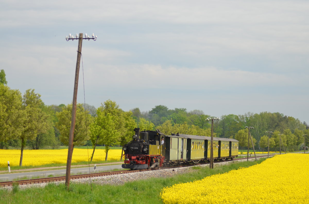 Döllnitzbahn Sächsische IV K 99 584 kurz vor Mügeln auf der Schmalspurbahn Strecke Oschatz – Mügeln - Kemmlitz oder (Glossen) 10.05.2020