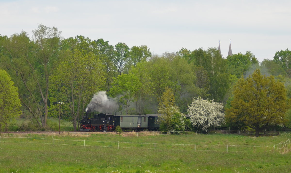 Döllnitzbahn Sächsische IV K 99 584 kurz hinter Oschatz auf der Schmalspurbahn Strecke Oschatz – Mügeln - Glossen 10.05.2020