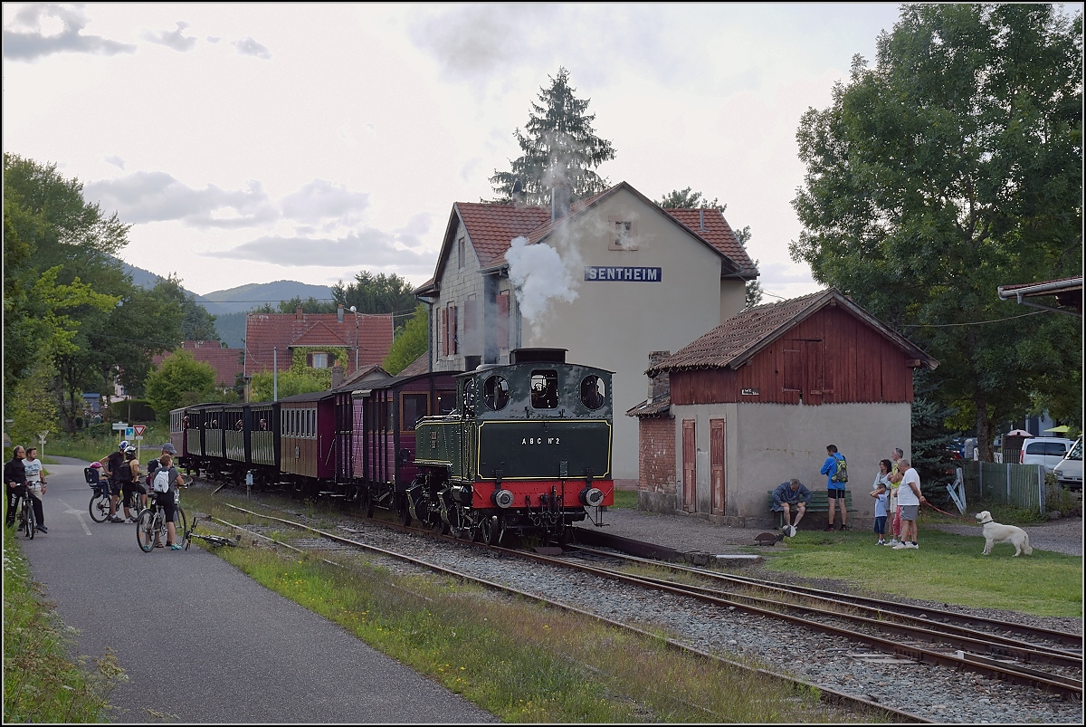 Dollertalbahn, ein kaum bekanntes Museumsjuwel.

Zurück aus Sentheim geht es mit versteckem Kessel Richtung Cernay mit 020+020T système Mallet n° 10416. Da sich leider auch die Sonne versteckte und mir die Hinfahrt in gutem Licht einige schöne Einstellungen bot, ließ ich die Fuhre nun unbehelligt ihres Weges ziehen und konstatiere: Diese Bahn hat viel mehr Aufmerksamkeit verdient, Respekt vor den aktiven Mitarbeitern des Vereins, die Sammlung dürfte noch für viele andere Motiv etwas bieten. Vielleicht zieht es ja mal den einen oder anderen Bahnfotografen in diese Richtung. Anfahrt über Mühlhausen-Cernay ist recht einfach, auch per öffentlichem Verkehr und mit einem 20 minütigem Spaziergang verbunden. Eine Verfolgungsjagd per Fahrrad stellt übrigens eine gute Option dar, weil die Bahn immer wieder an Bahnübergängen ausgebremst wird und zu größten Teil brauchbare Radwege direkt neben der Bahn eingerichtet sind. August 2017.