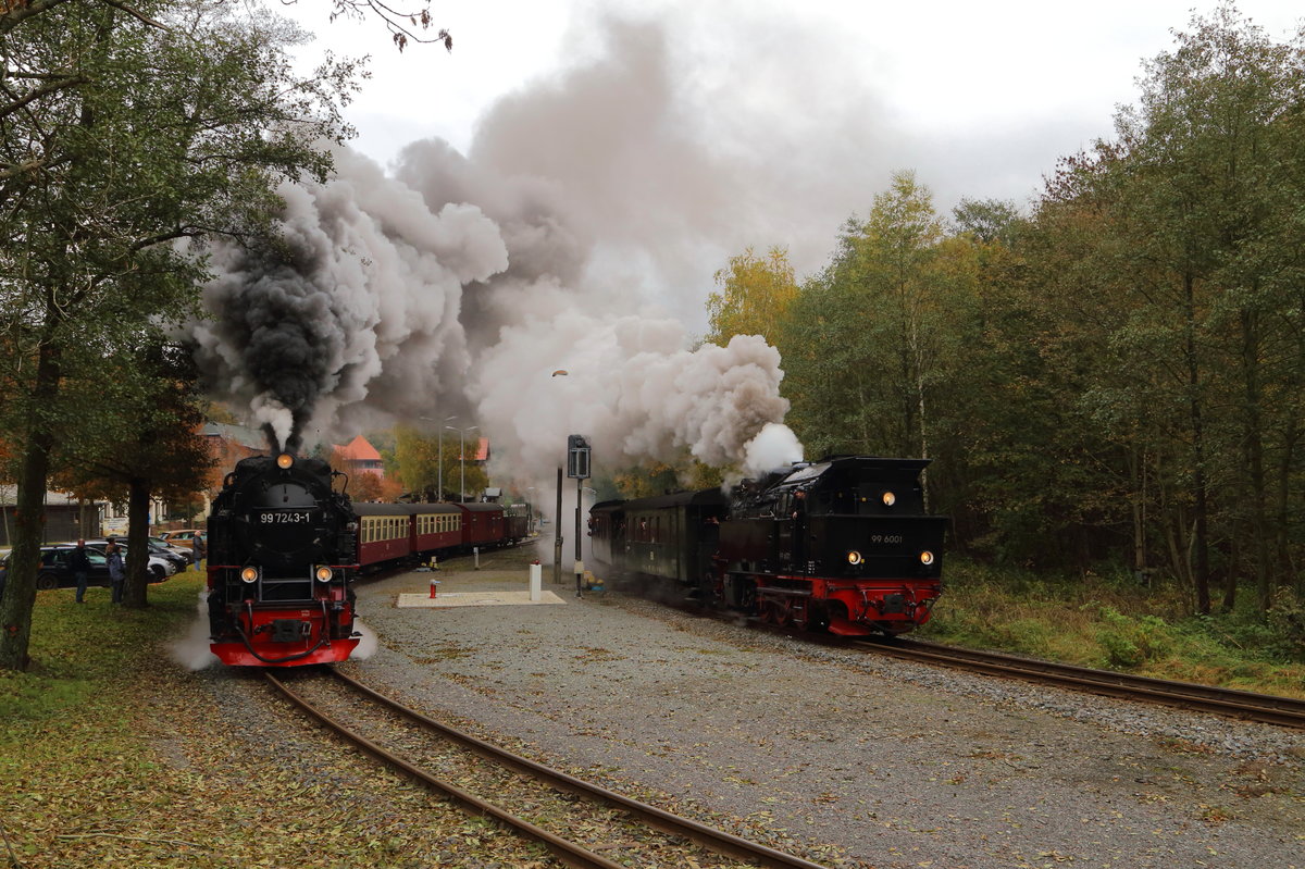 Doppelausfahrt von 99 7243 mit P 8965 (Gernrode-Hasselfelde) und 99 6001 mit IG HSB-Sonderzug am 18.10.2015 aus dem Bahnhof Alexisbad. (Bild 3)