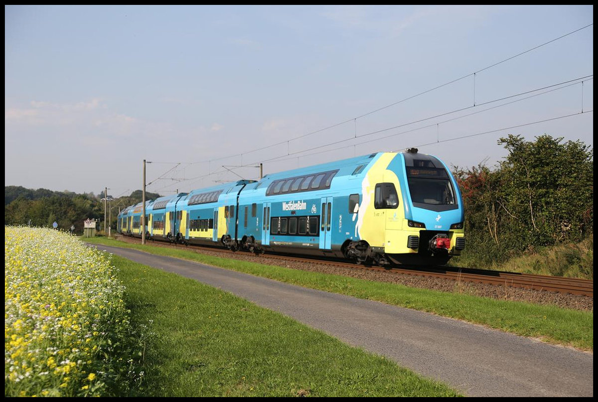 Doppelstock ET 607 der Westfalenbahn ist hier nahe Laggenbeck am 16.09.2020 um 11.04 Uhr als RE nach Braunschweig unterwegs.