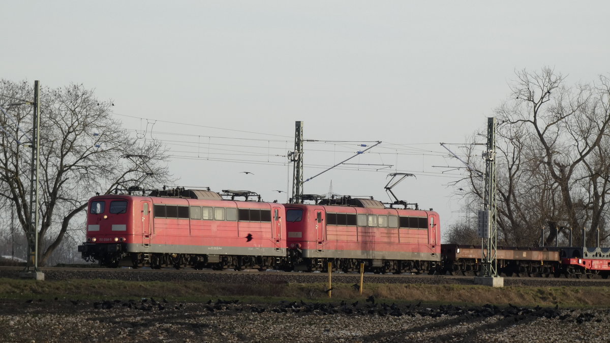 Doppeltraktion Coil-Zug (Leer, aus Andernach) 151 059-5 gesehen in Hürth-Kalschauren 2/20/2021