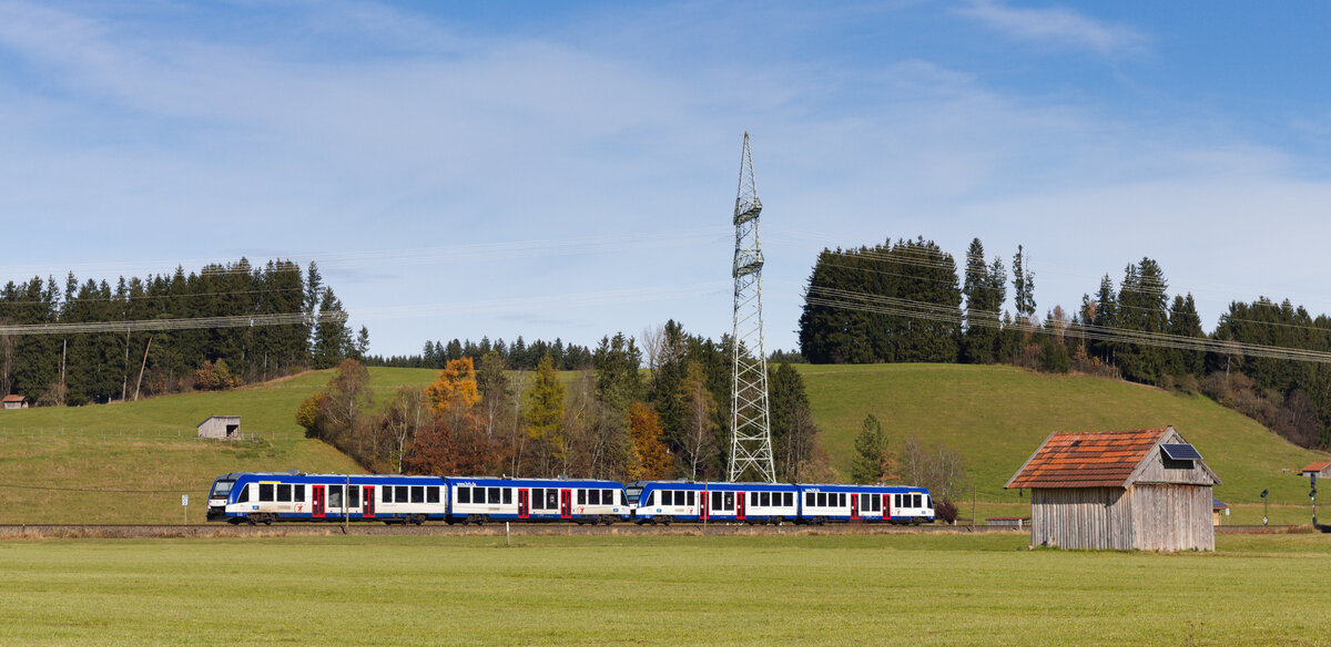 Doppeltraktion Lint 41 als RB77 Füssen-Augsburg am 07.11.2021 bei Biessenhofen. 