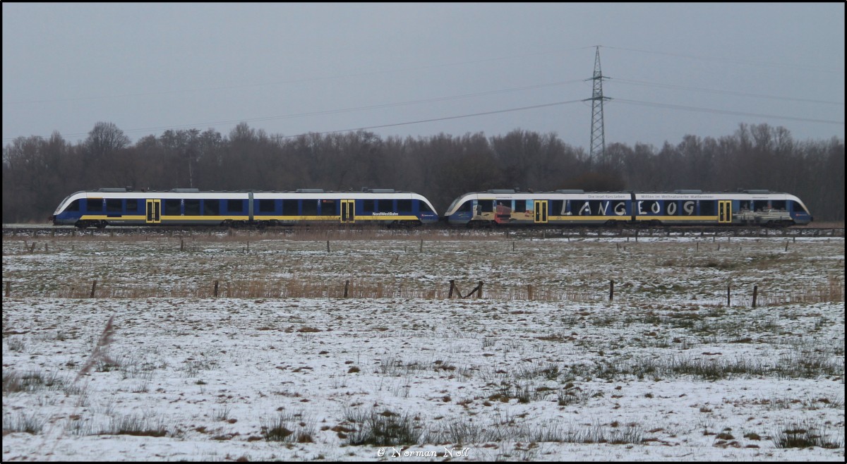 Doppeltraktion Lint 41 der Nord-West-Bahn von Wilhelmshaven nach Esens kurz vor Mariensiel. 25/01/2015