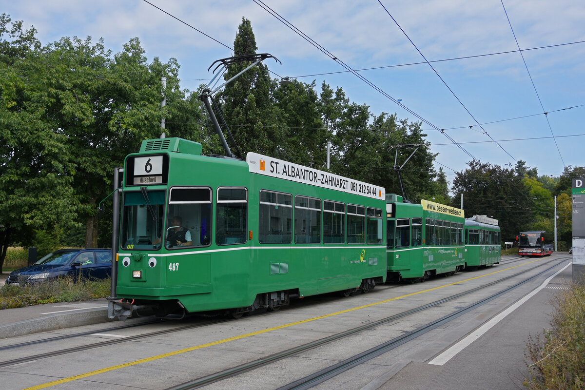 Doppeltraktion, mit den Be 4/4 487 und 501 zusammen mit dem B4S 1501, auf der Linie 6, bedient am 23.08.2025 die Haltestelle Weilstrasse. Aufnahme Riehen.