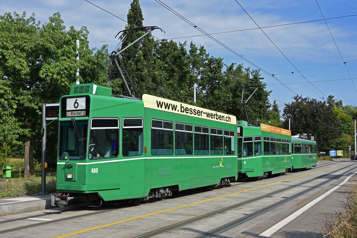 Doppeltraktion, mit den Be 4/4 489 und 502 zusammen mit dem B4S 1491, auf der Linie 6, bedient am 23.08.2025 die Haltestelle Weilstrasse. Aufnahme Riehen.