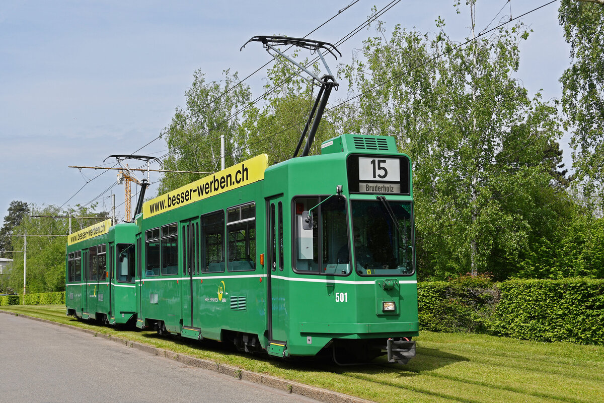 Doppeltraktion, mit den Be 4/4 501 und 495, auf der Linie 15, fährt am 05.05.2023 zur Endstation auf dem Bruderholz.