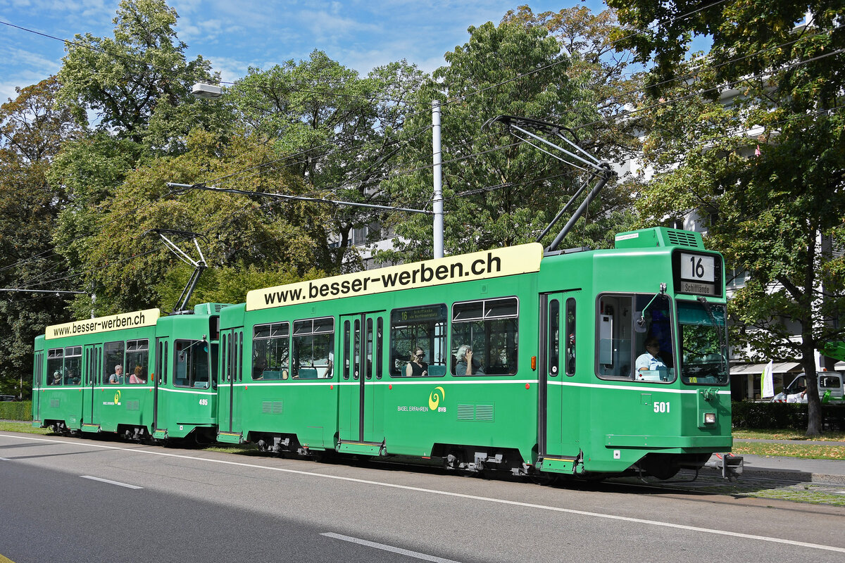 Doppeltraktion mit den Be 4/4 501 und 495, auf der wegen der gesperrten Margarethenbrücke Linie 16, fährt am 15.08.2023 zur Haltestelle am Aeschenplatz.
