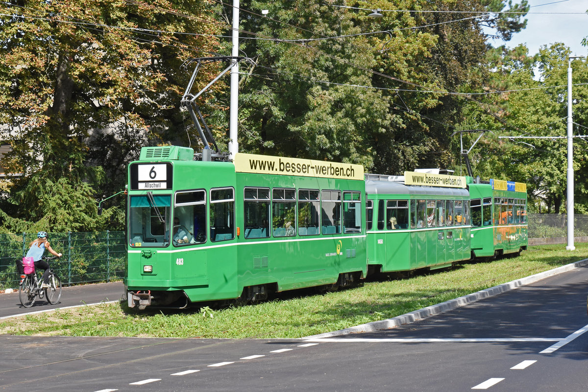 Doppeltraktion, mit dem Be 4/4 483, dem B4S 1456 und dem Be 4/4 486, auf der Linie 6, fährt zur Haltestelle Burgstrasse. Die Aufnahme stammt vom 10.09.2018.