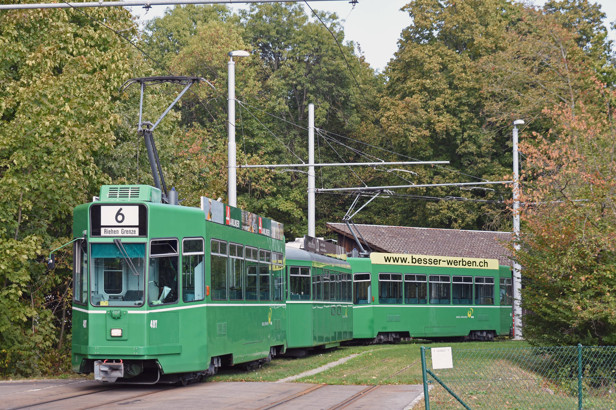 Doppeltraktion, mit dem Be 4/4 497, dem B4S 1491 und dem Be 4/4 499 wendet rückwärts durch die Schlaufe am Eglisee. Die Linie 6, wird wegen Bauarbeiten am badischen Bahnhof im  Inselbetrieb  vom Eglisee bis zur Riehen Grenze geführt. Die Fahrzeuge werden in der Nacht in der Abstellanlage beim Eglisee eingestellt. Die Aufnahme stammt vom 30.09.2018.