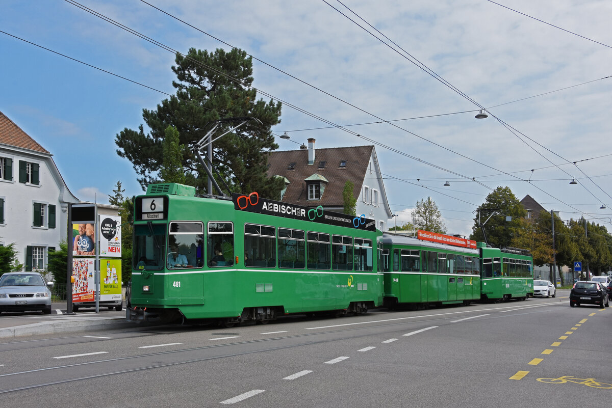 Doppeltraktion, mit dem Be 4/4 481, dem B4S 1449 und dem Be 4/4 492, auf der Linie 6, bedient die Haltestelle Kirche in Allschwil. Die Aufnahme stammt vom 20.08.2021.