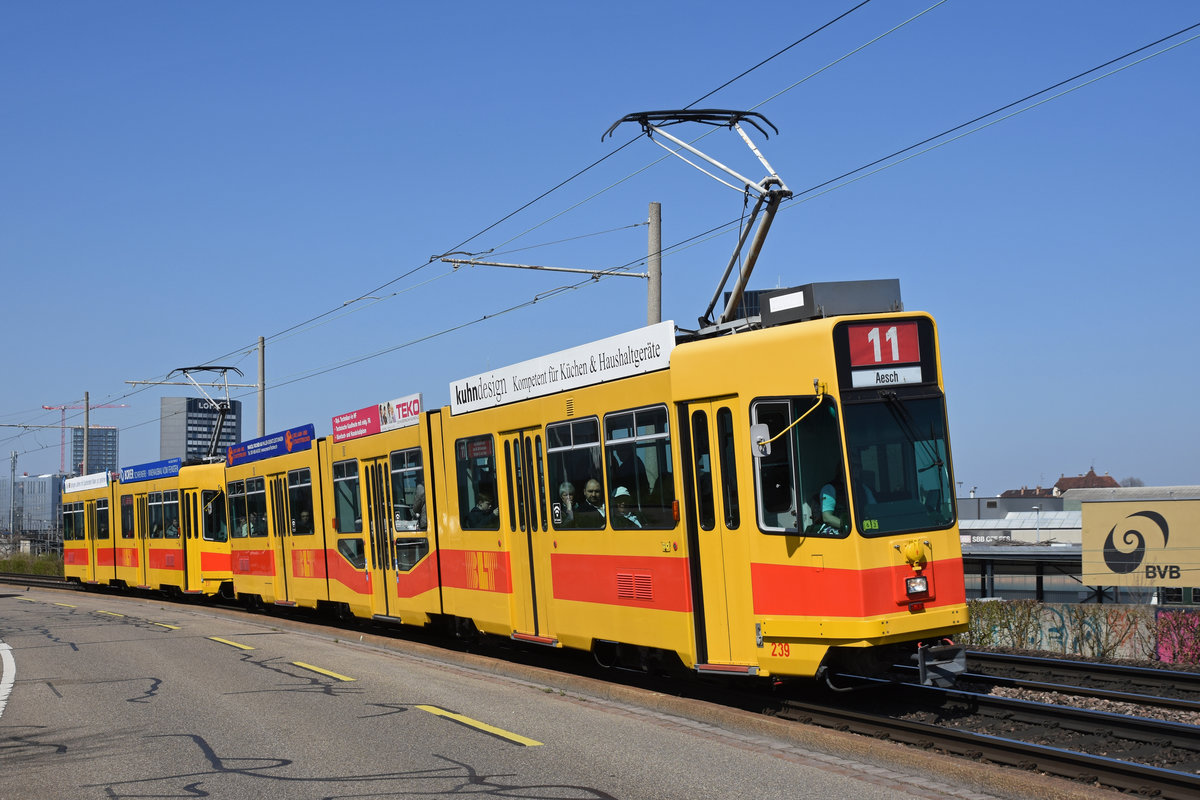 Doppeltraktion, mit dem Be 4/8 239 und dem Be 4/6 231, auf der Linie 11, fährt zur Haltestelle M-Parc. Die Aufnahme stammt vom 29.03.2019.