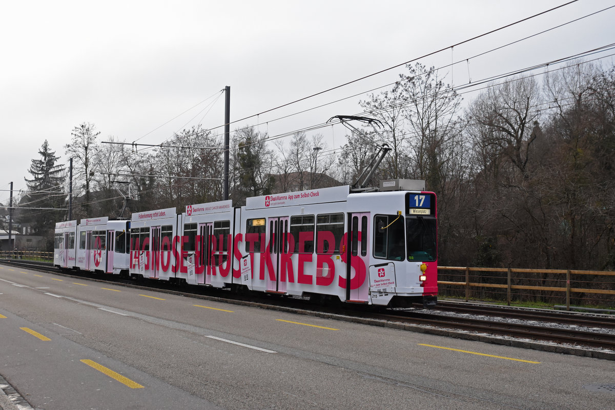 Doppeltraktion, mit dem Be 4/8 215 und dem Be 4/6 258 mit einer Werbung für Brustkrebs Vorbeugung, auf der Linie 17, fährt zur Haltestelle ZOO Basel. Die Aufnahme stammt vom 28.12.2019. 
