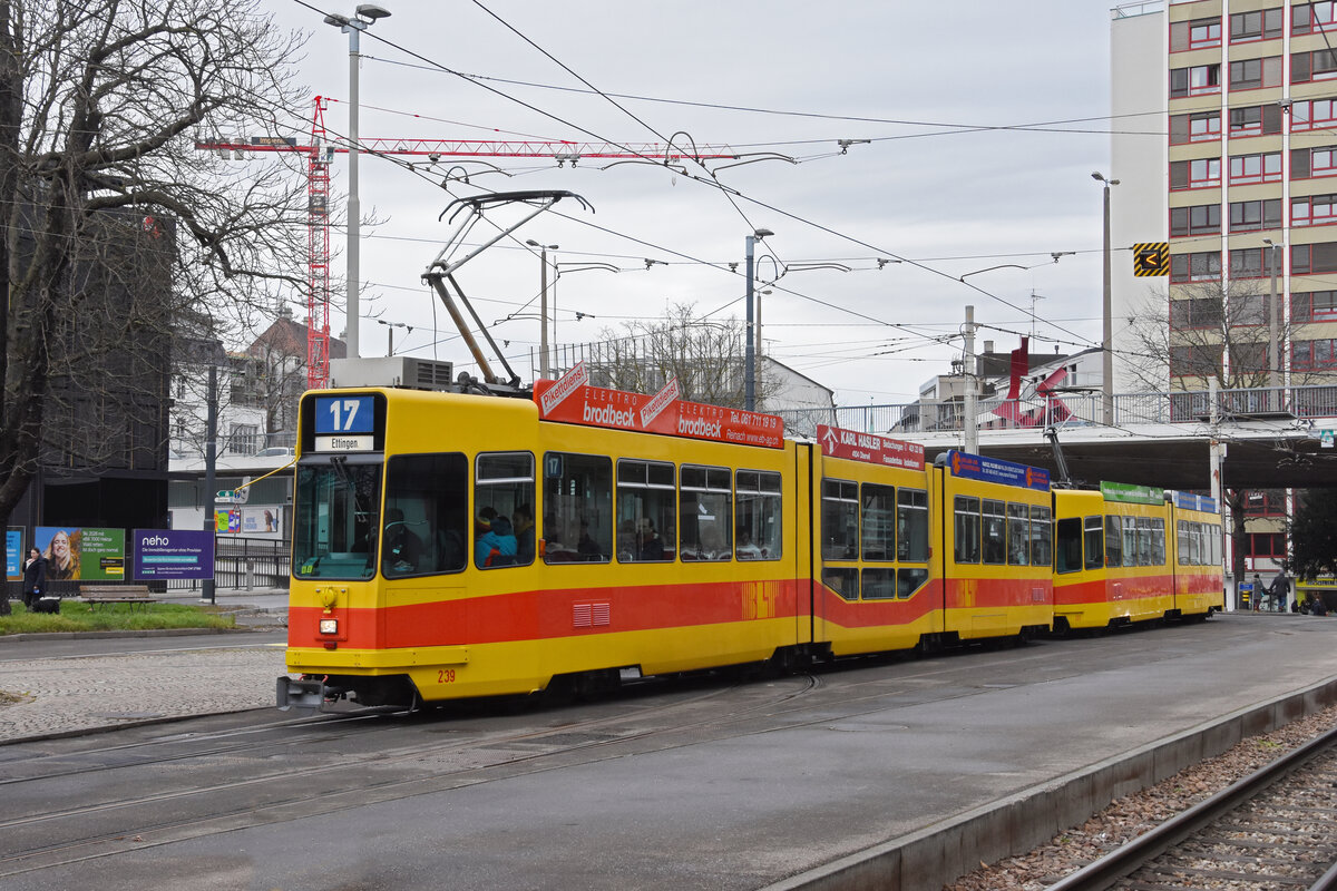 Doppeltraktion, mit dem Be 4/8 239 und dem Be 4/6 203, auf der Linie 17, fährt am 04.02.2023 zur Haltestelle ZOO Basel.