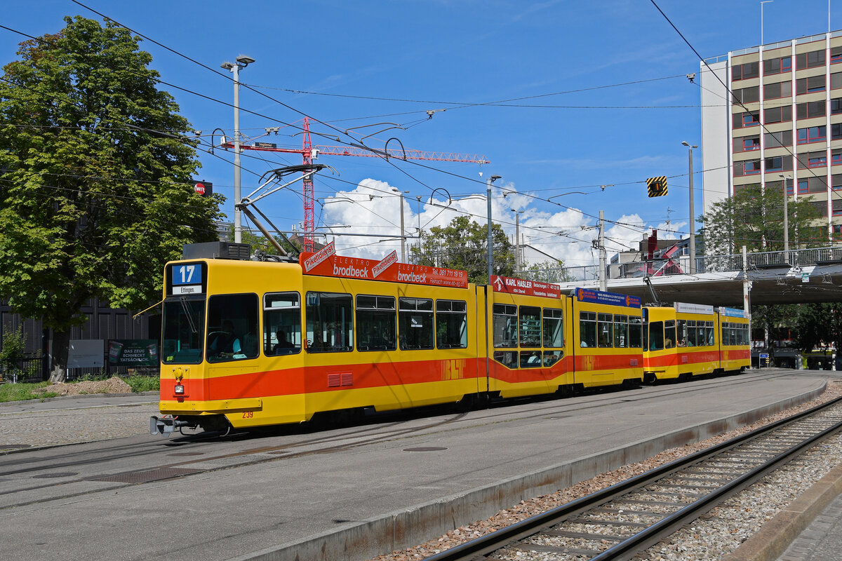 Doppeltraktion. mit dem Be 4/8 239 und dem Be 4/6 217, auf der Linie 17, fährt am 02.09.2023 zur Haltestelle ZOO Basel.