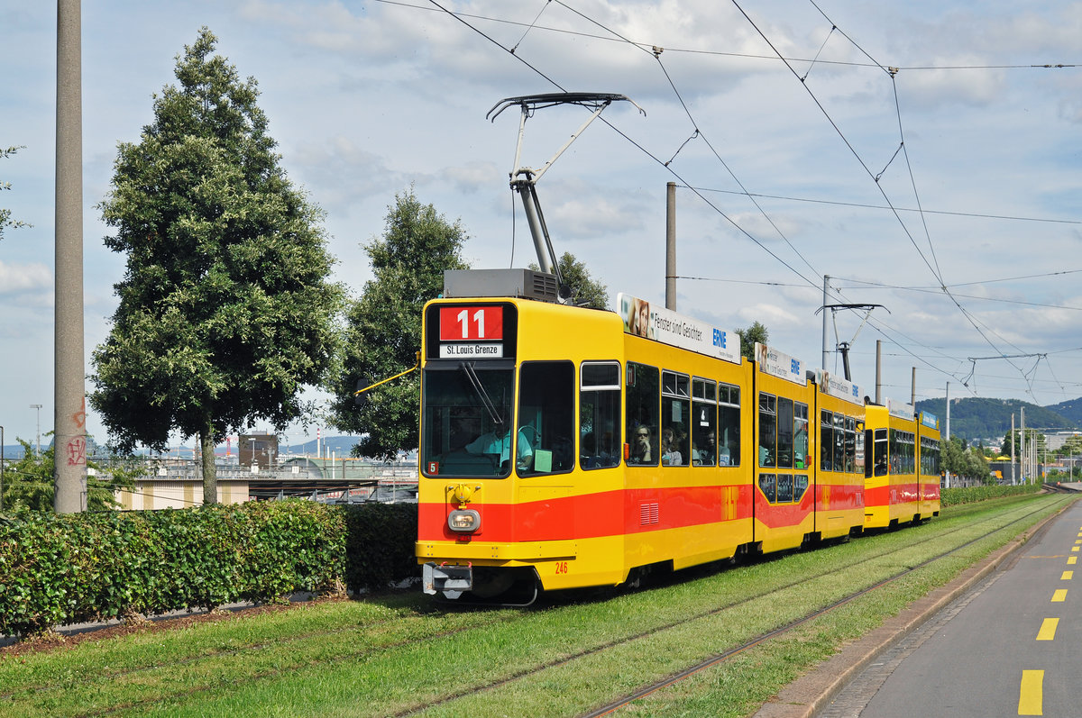 Doppeltraktion, mit dem Be 4/8 246 und dem Be 4/6 205, auf der Linie 11, fahren zur Haltestelle Münchensteinerstrasse. Die Aufnahme stammt vom 06.07.2016.