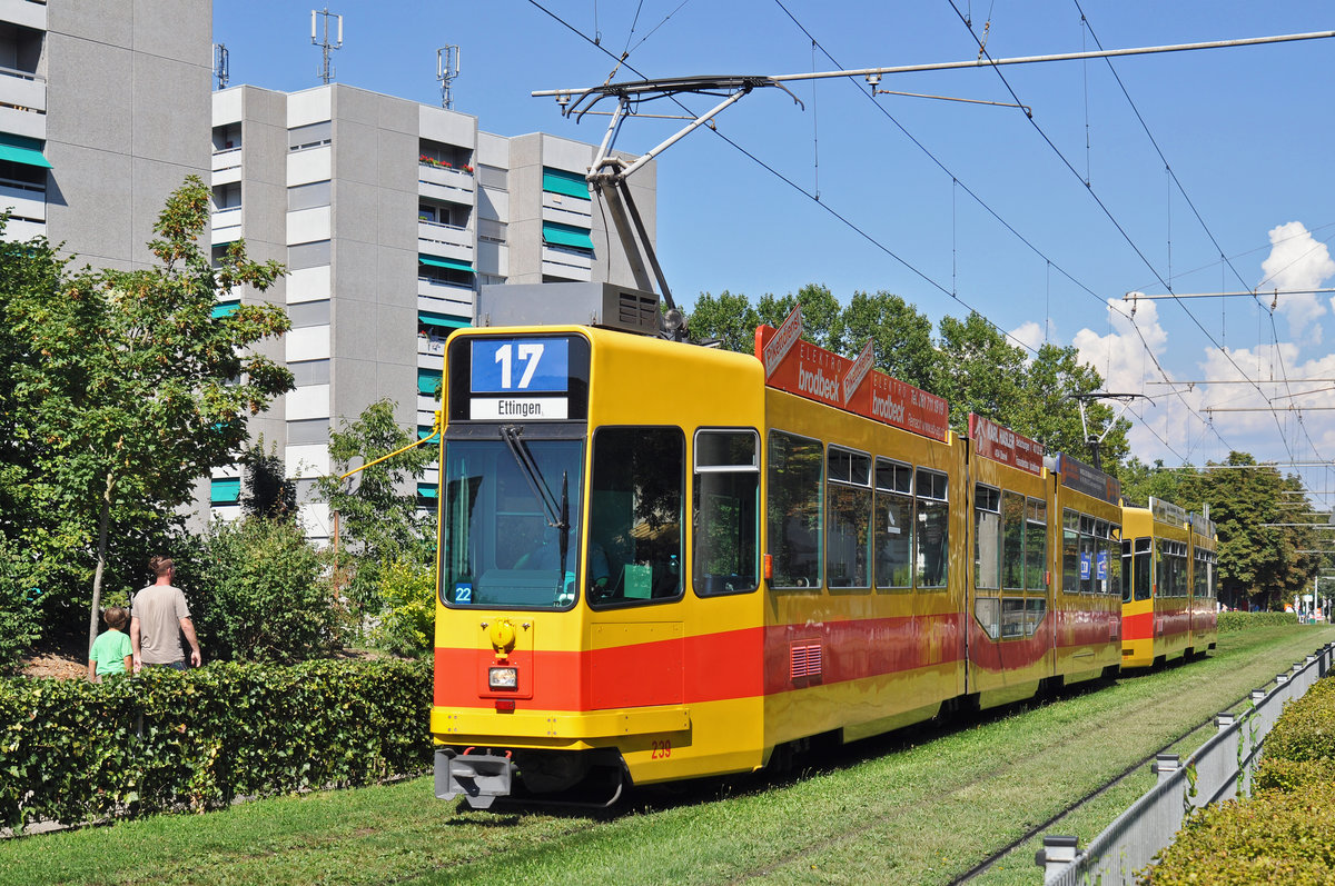 Doppeltraktion, mit dem Be 4/8 239 und dem Be 4/6 265, auf der wegen einer Baustelle umgeleiteten Linie 17, fahren zur Haltestelle Hirzbrunnen/Claraspital. Die Aufnahme stammt vom 27.08.2016.