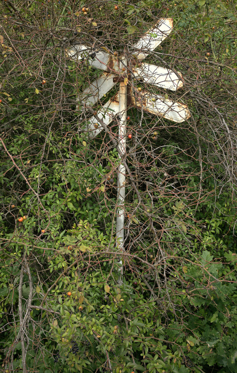  Dornröschenschlaf  des Warnkreuzes an der Zufahrt zum BW Chomutov.....
11.09.2020 12:37 Uhr
