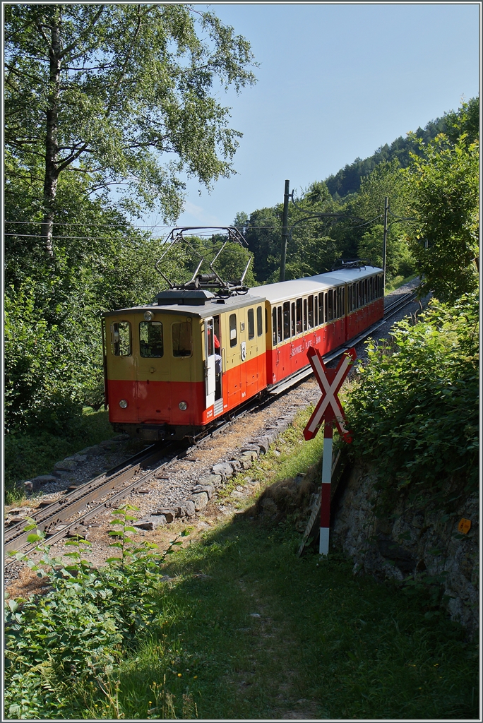 Dort, wo der Wanderweg Wilderswil - Zweilütschienen die Gleise der Schynigen Platten Bahn kreuzt, bietet es sich geradezu für eine kleine Pause an um die teilweise bunten Züge der SPB zu fotografieren.
12. Juli 2015