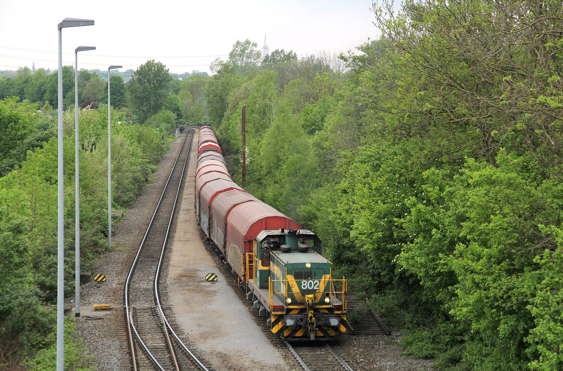 Dortmunder Eisenbahn 811 bringt beladene Wagen vom ThyssenKrupp Steel Europe-Werk in Bochum
zum Übergabebahnhof Bochum-Präsident.
Fotografiert von der sogenannten  Erzschwinge  in Bochum am 10. Mai 2016.