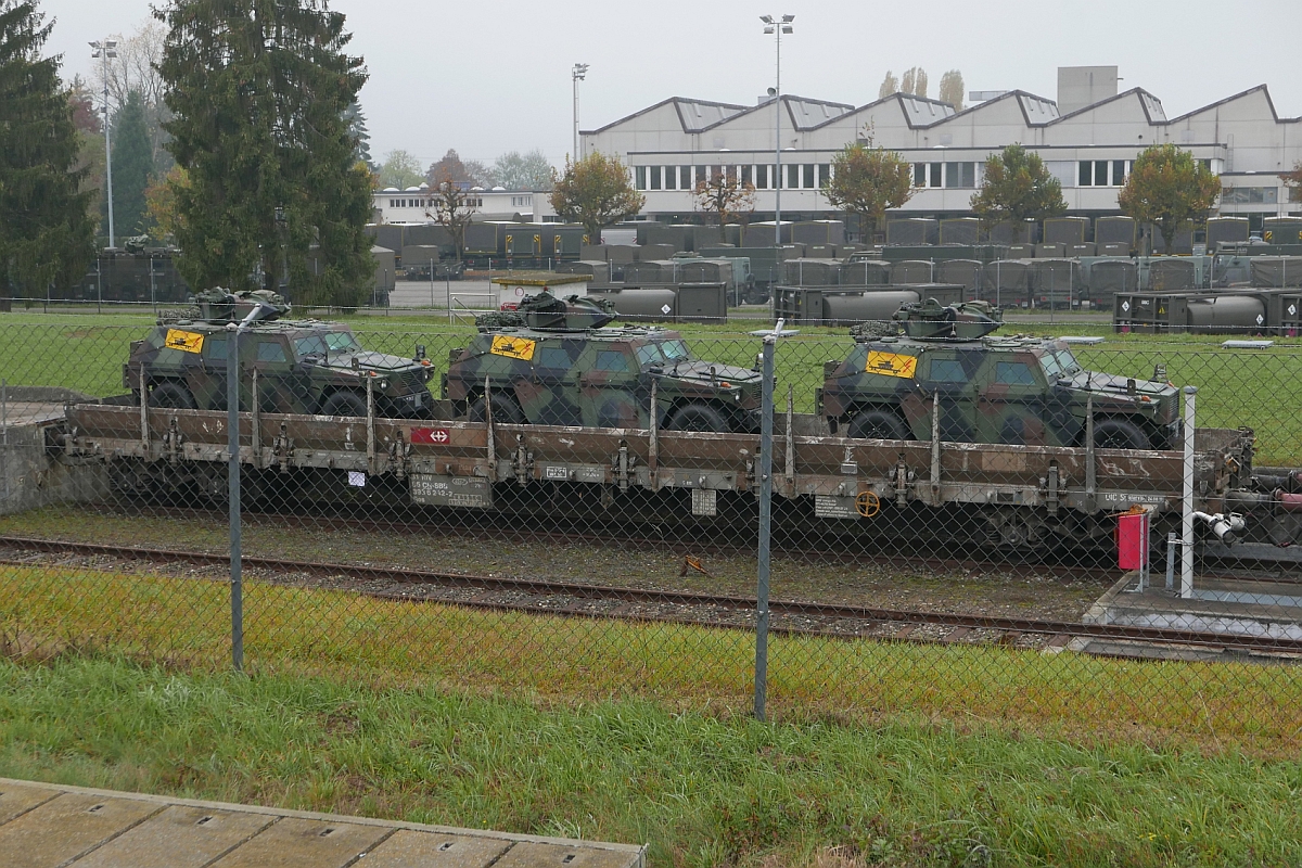 Drei Mowag Eagle III auf einem Flachwagen der Gattung Res (31 85 393 6 242-2). Aufnahme entstand am 31.10.2016 von der Haltestelle Bronschhofen an der Bahnlinie zwischen Wil und Weinfelden.