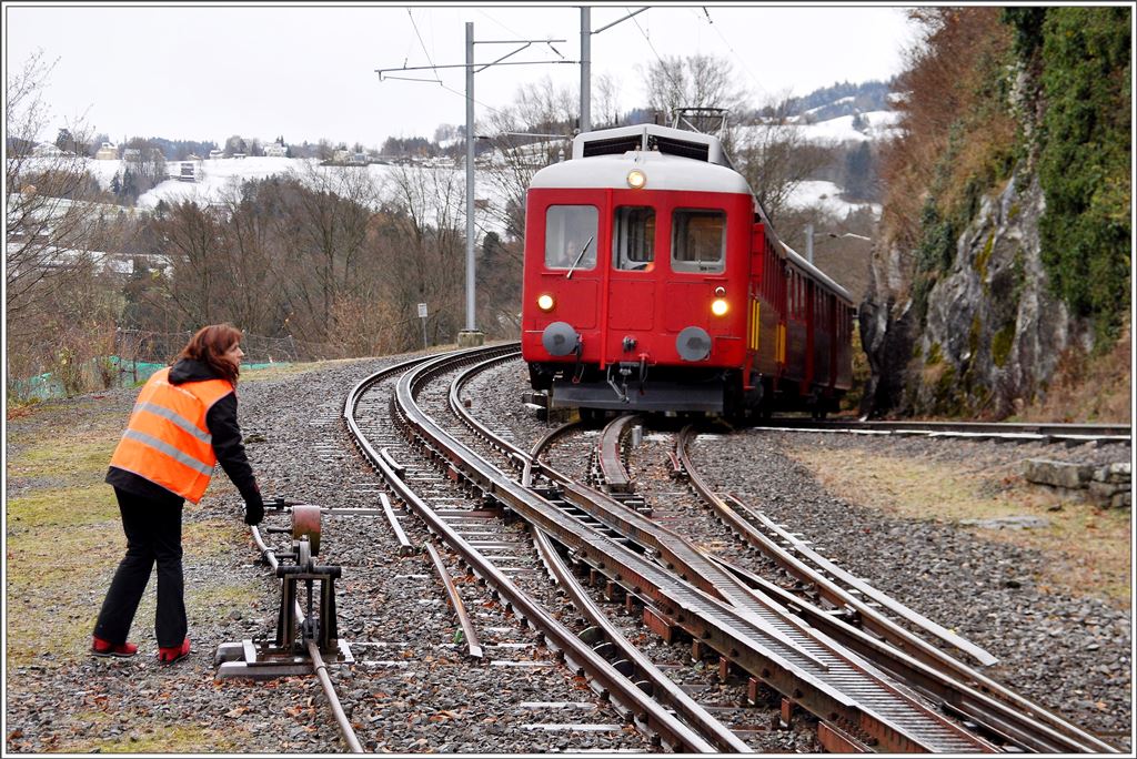 Drei Zahnstangenweichen gibt es noch bei der RHB, zwei in Heiden und diese in Wienacht-Tobel. Eine weitere Weiche gabe es unterhalb von Wienacht-Tobel als Zufahrt zu einem Steinbruch und noch eine in Rorschach-Seebleiche als Zufahrt zur Starrag-Fabrik. Das Ausweichgleis in Wienacht-Tobel wird nur benützt bei Extrafahrten. Der ABDeh 2/4 24 und Bt31 warten in der Ausweiche den Regelzug aus Rorschach ab. (29.11.2015)