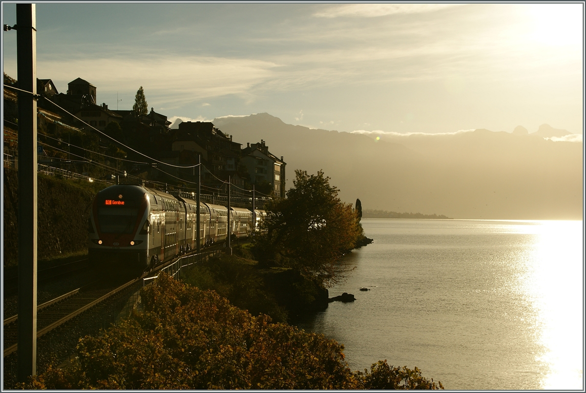 Dreimal  Kiss : ein RABe 511 im Gegenlicht bei St-Saphorin.
30. Okt. 2013