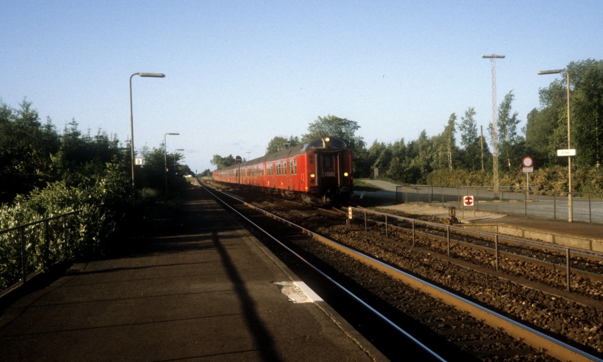 DSB: Am 22. Juni 1983 erreicht ein Regionalzug (von der Diesellok My 1145 geschoben) den Bahnhof Nørre Alslev.