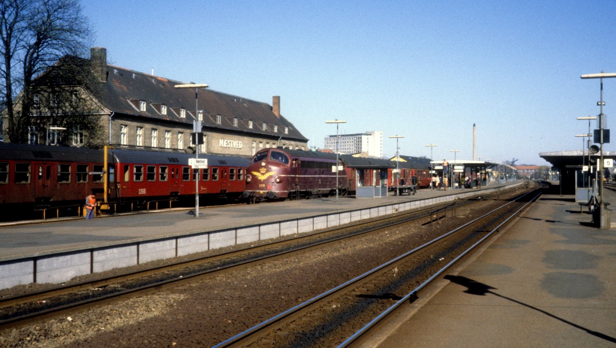 DSB-Bahnhof Næstved am 14. April 1981: Ein Regionalzug bestehend aus der Diesellok My 1119 und Personenwagen hält am Gleis 2. - Der Zug fährt in Richtung Vordingborg.