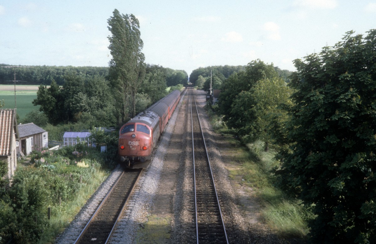 DSB: Ein Regionalzug (von der Diesellok My 1157 geschoben) befindet sich am 22 Juni 1983 am ehemaligen Bahnhof Tingsted (auf der Insel Falster).