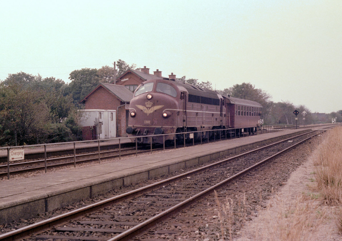 DSB My 1101 (mit einem einzelnen Personenwagen (2. Kl.)) im Bahnhof Rønbjerg am 5. September 1976. - Die dieselelektrische Lok 1101 wurde 1954 von Nohab hergestellt. - (Neuer) Scan eines Farbnegativs. Film: Kodak Kodacolor II. Kamera: Minolta SRT-101.