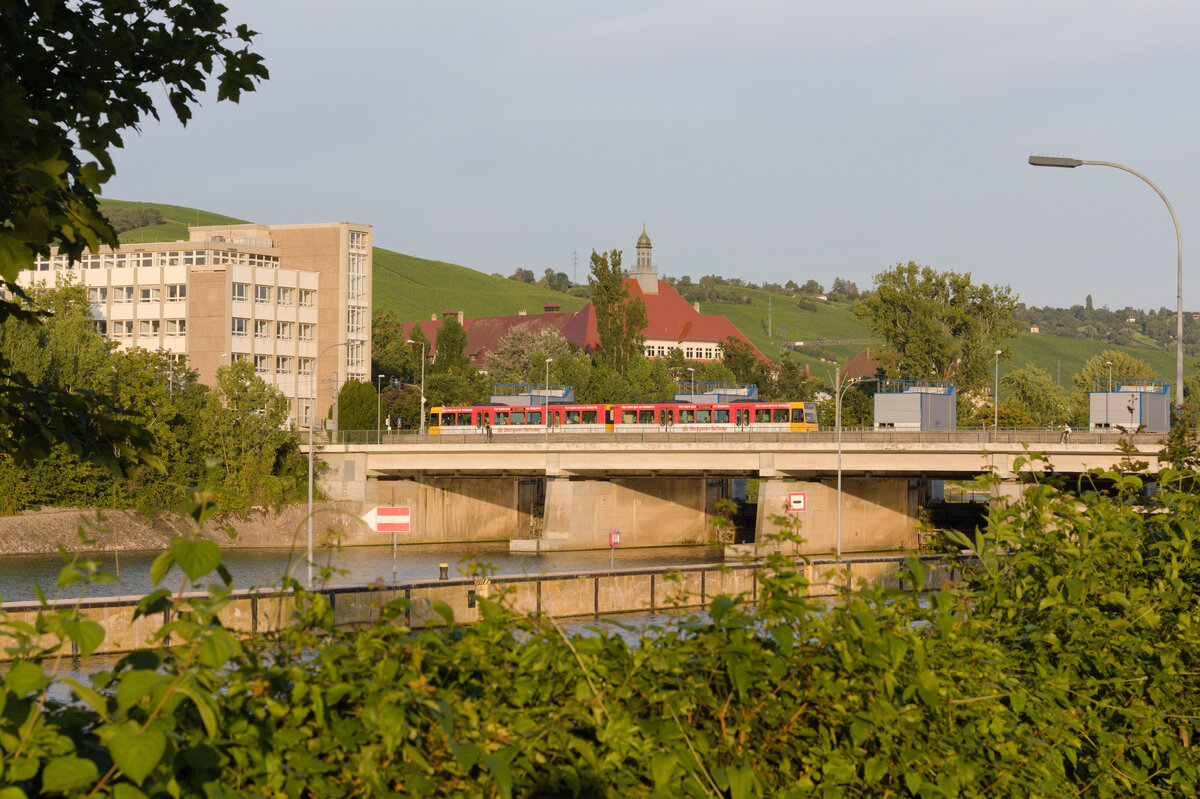 DT8.4  Stuttgarter Hofbräu  als U13 Hedelfingen-Feuerbach am 12.08.2021 an der Neckarschleuse Untertürkheim. 