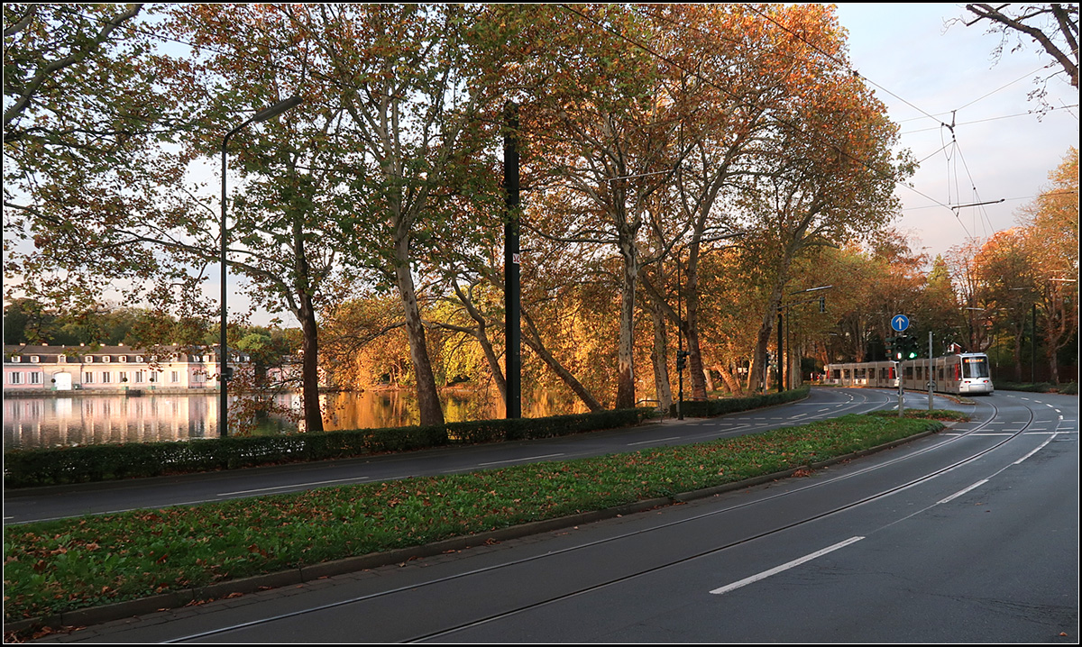 Durch die Benrather Schloßallee -

Herbstliche Morgenstimmung am Schlossweiher in Düsseldorf-Benrath.

14.10.2019 (M)