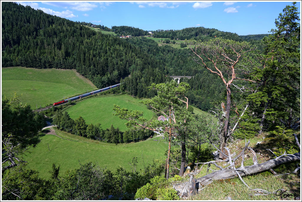 Durch den blauen Einschnitt, zieht eine 1116 den Russenzug 13017 (Moskau - Nizza) bergwrts. 
Klamm Schottwien 16.8.2013