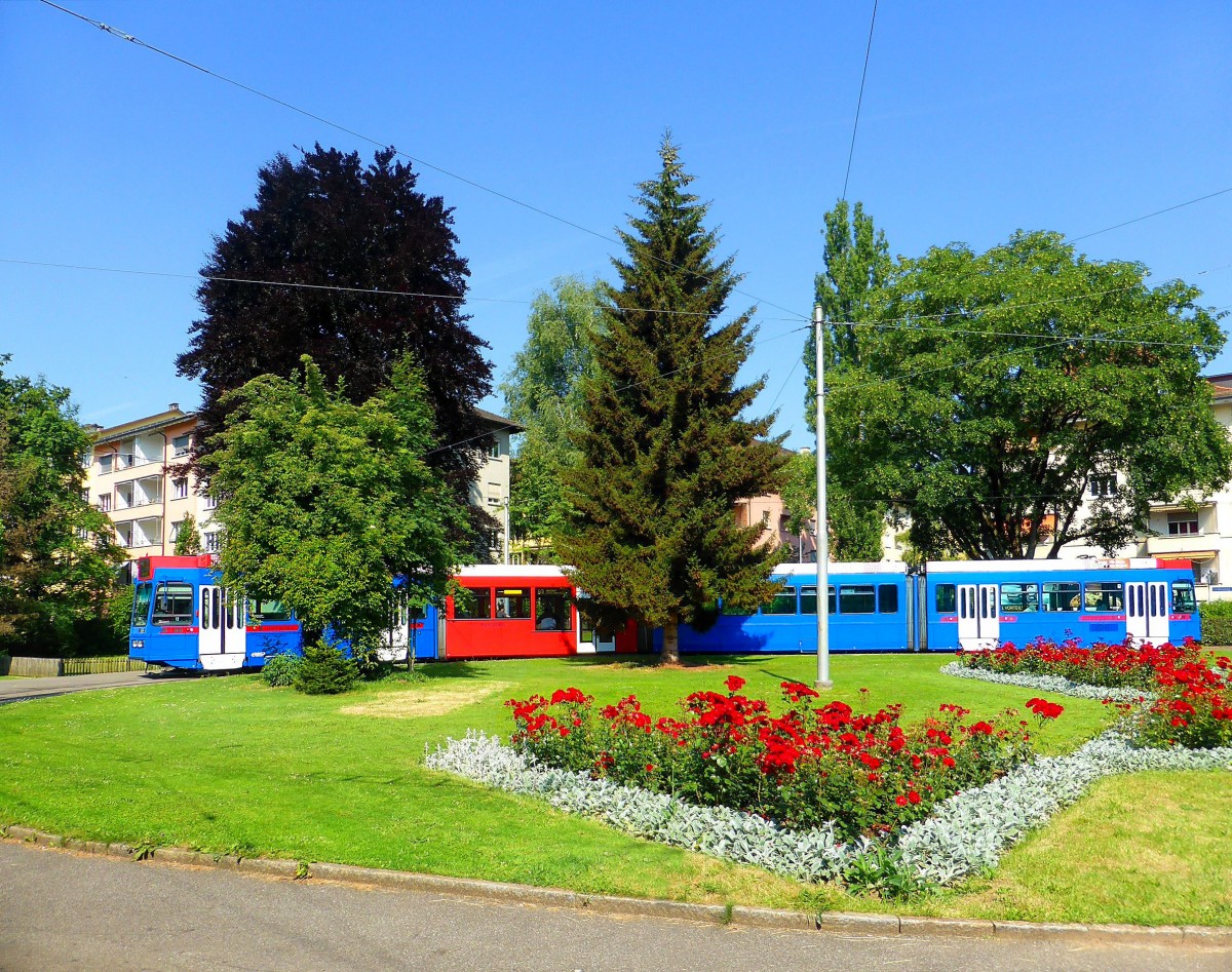 Durch die Blume - RBS Gelenkwagen Be4/10 89 in der Wendeschlaufe Weissenbühl der Berner Tramlinie 3, am sommerlichen 26.Juni 2014. 