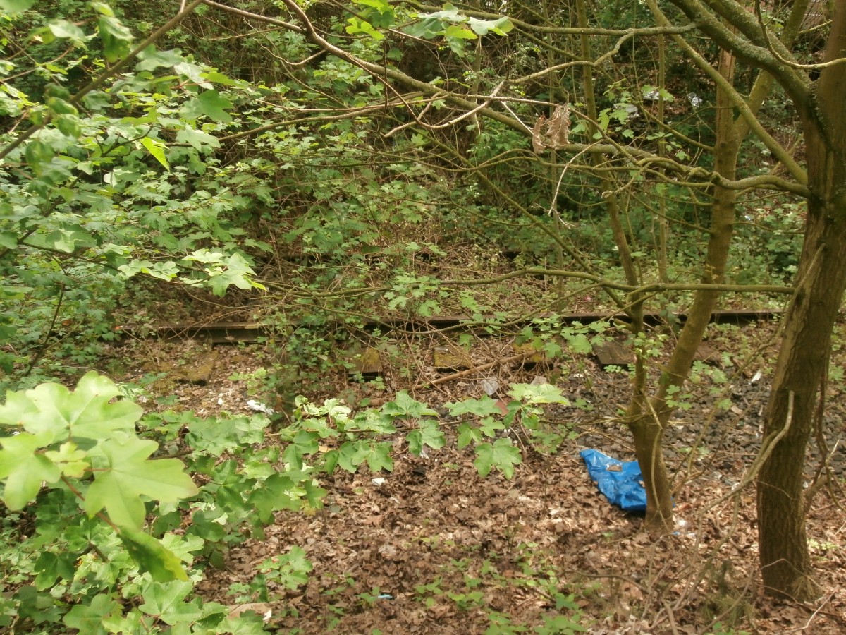 Durch einen Zaun durch sieht man das alte Gleis nach Holt I im dichten Bewuchs.
Mitte der 1950er Jahre wurden gleich zwei Anschlüsse für das NATO-Hauptquartier nordöstlich von Rheindahlen neu angelegt. Dies waren die Anschlußgleise Holt I (Bild) und Holt II der britischen Rheinarmee. Das Anschlußgleis Holt II verlief bis zum östlichen Ortsausgang Rheindahlens parallel zum Eisernen Rhein. Dort zweigte diese Anschlußbahn in nördlicher Richtung ab und endete auf einem Armeegelände kurz vor der Autobahn A 61 bei Genhülsen.
Rheindahlen 26.04.2014