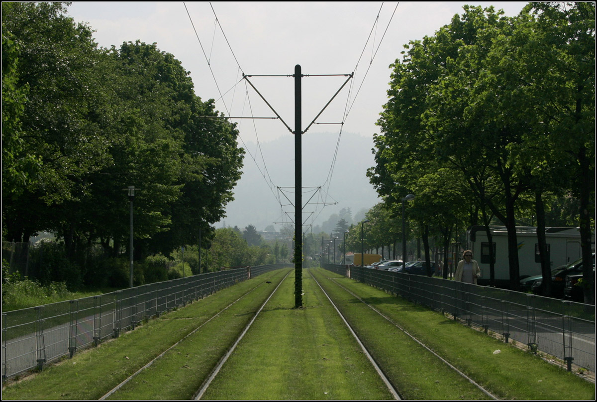 Durch Freiburg-Haslach ins Rieselfeld -

Der Rasenbahnkörper in nördlicher Seitenlage zur Carl-Kistner-Straße. Blick vom Fußgängerübergang an der Haltestelle 'Haslach Bad.' Etwas weiter hinten auf der rechten Seite wurde zwischenzeitlich ein Wohngebiet aufgesiedelt.

11.05.2006 (M)