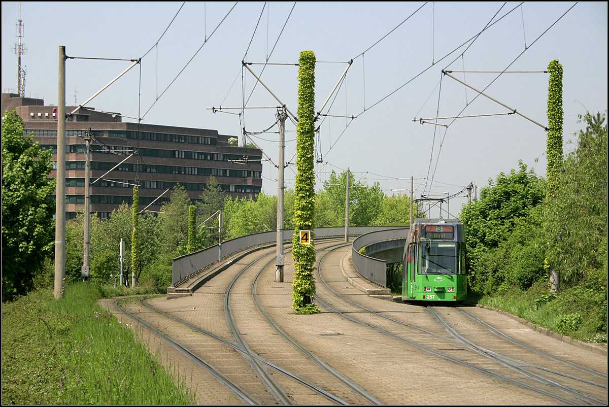 Durch Freiburg-Weingarten nach Haid -

Zusammen mit der Verlängerung nach Landwasser ging am 14. Juni 1985 der kurzer Abzweig vom Runzmattenweg zur Haltestelle Bissierstraße in Betrieb. Eine Gt8Z-Straßenbahn verlässt niveaufrei die Ost-West-Strecke westlich der Haltestelle Runzmattenweg.

11.05.2006 (M)