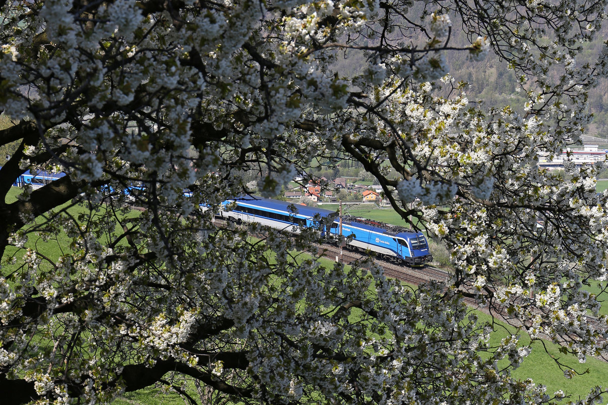 Durch die frisch blühenden Apfelbäume bei der  Apfelwiese  am Eichberg fährt RJ-73 mit 1216.233 am 21.4.17