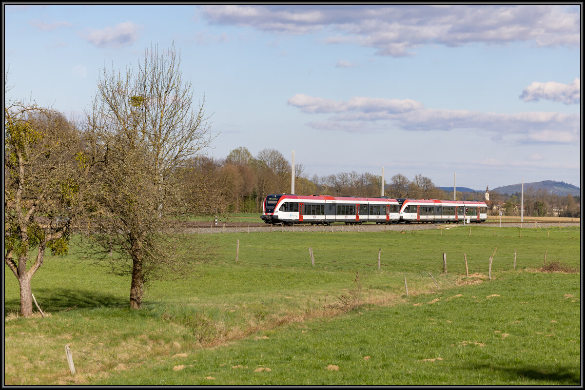 Durch den Frühling rollen diese beiden GTW 2/8 bei Freidorf ( St. Peter ) 
5.04.2023