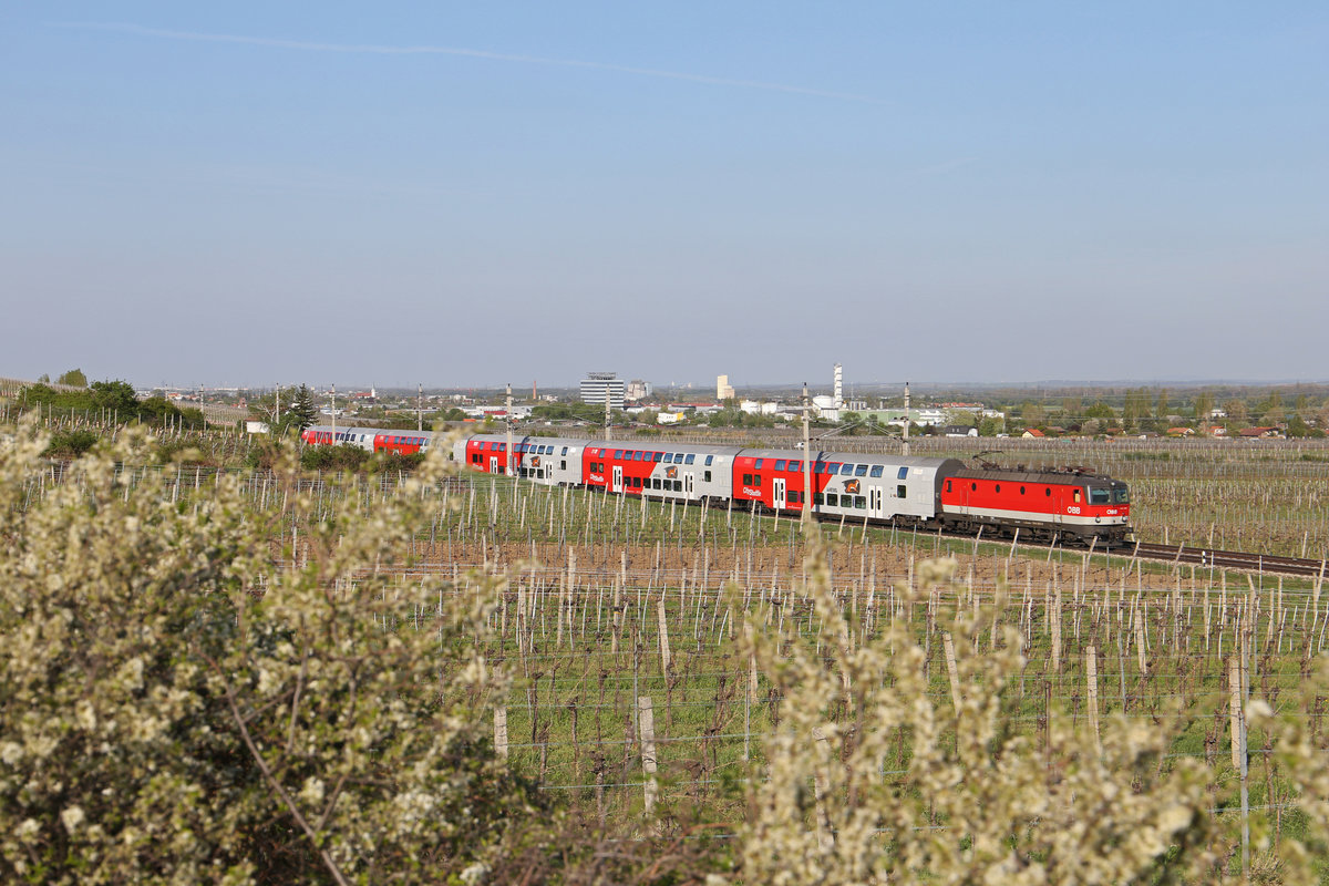 Durch die frühlingshaften Weinberge rund um Pfaffstätten fährt 1144.083 mit ihren Reg. nach Wr.Neustadt am 18.4.18