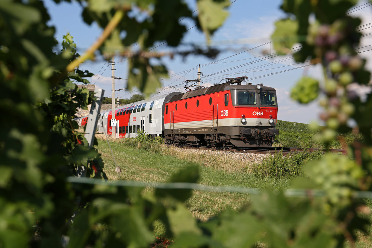 Durch die frühreifen Weintrauben bei Pfaffstätten,fährt 1144.102 mit ihren Reg.nach Wr.Neustadt. 3.8.18