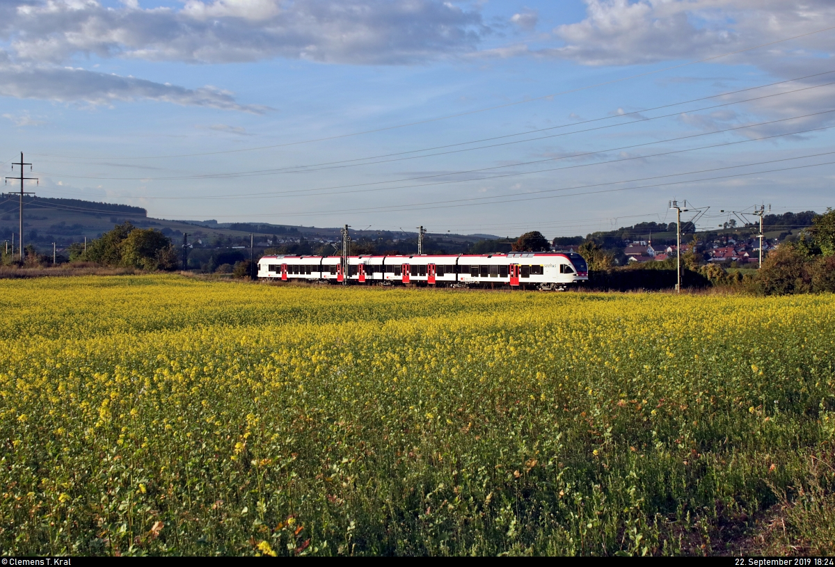 Durch das Rapsfeld:
Ein RABe 521 (Stadler FLIRT) der SBB GmbH (SBB) als SBB87703  Seehas  von Engen nach Konstanz fährt bei Abendsonne in Engen-Welschingen auf der Bahnstrecke Offenburg–Singen (Schwarzwaldbahn (Baden) | KBS 720).
[22.9.2019 | 18:24 Uhr]