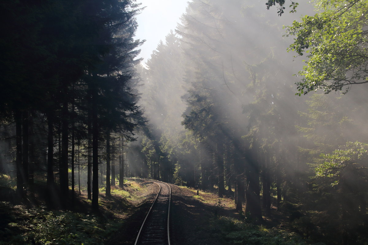 Durch den Rauch der Dampflok und den einfallenden Lichtstrahlen ergab sich zwischen Drei Annen Hohne und Schierke eine interessante Lichtstimmung. 

Drei Annen Hohne, 06. August 2017.