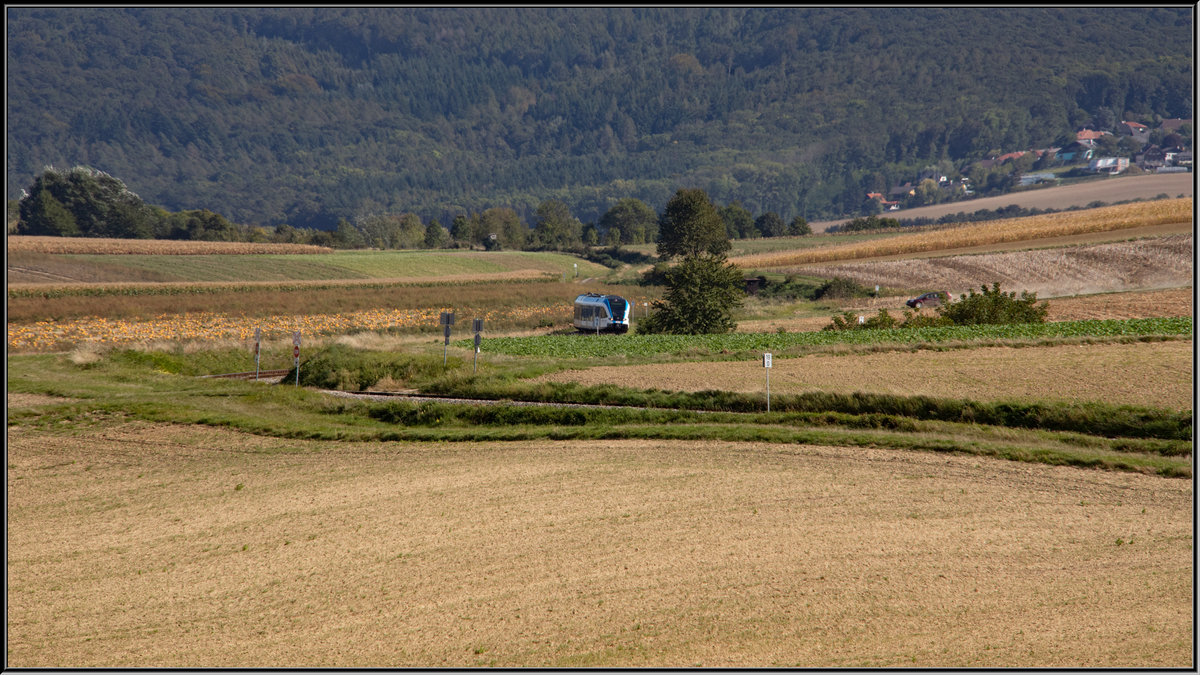 Durch sanfte Hügel schlängelt sich der Treibwagen dem Ziel Ernstbrunn entgegen. 
21.08.2019