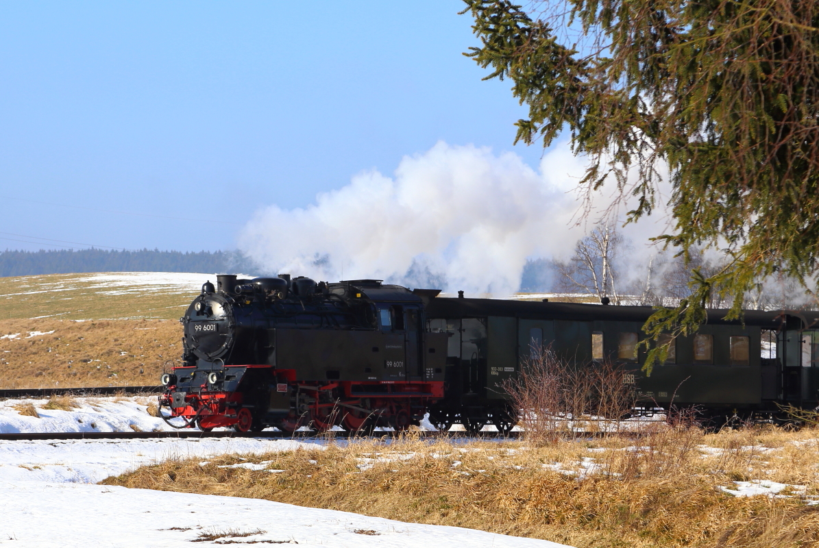Durchfahrt von 99 6001 mit IG HSB-Sonderzug am 15.02.2015 durch die Stieger Wendeschleife. (Bild 4)