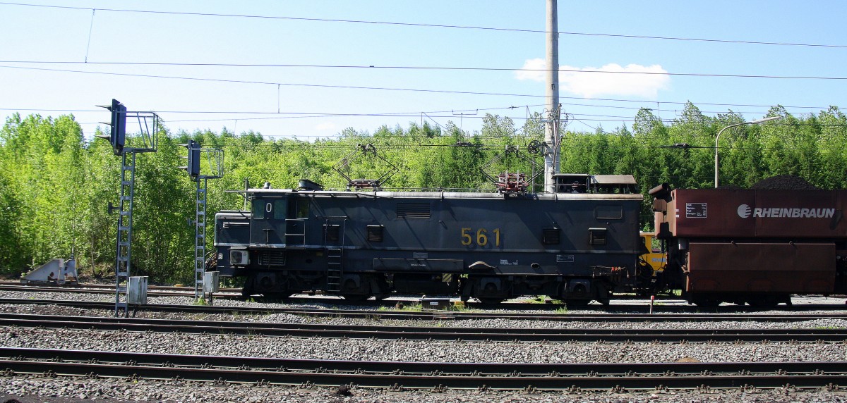 E-Lok 561 von RWE Power fährt mit einem langen Braunkohlenzug.
Aufegenommen in Bergheim am Gleis eins bei schönem Sonnenschein am 3.5.2014.