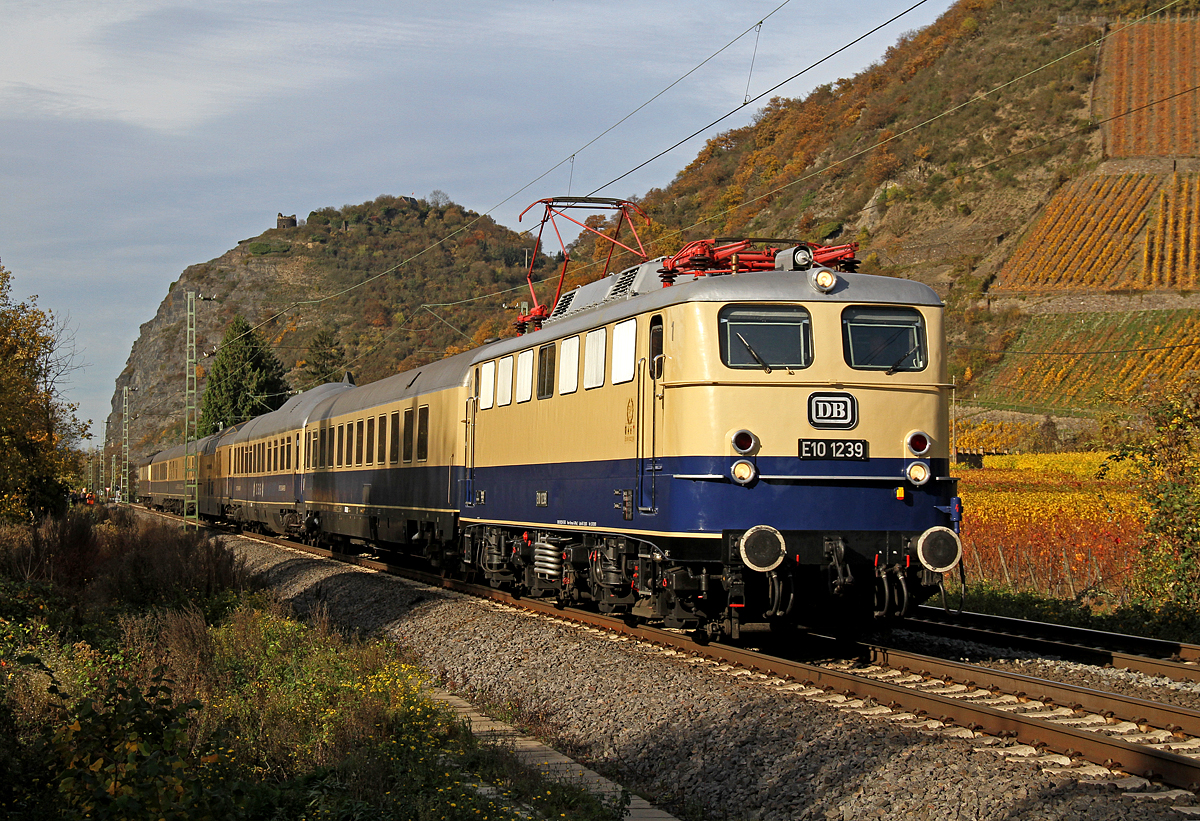 E10 1239 bei Hammerstein am 08.11.2015