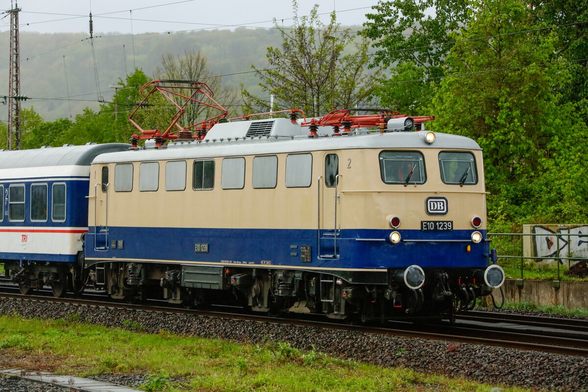 E10 1239 DB mit TRI-Fußballsonderzug nach Dortmund bei der Durchfahrt in Wuppertal Steinbeck, am 16.04.2024.